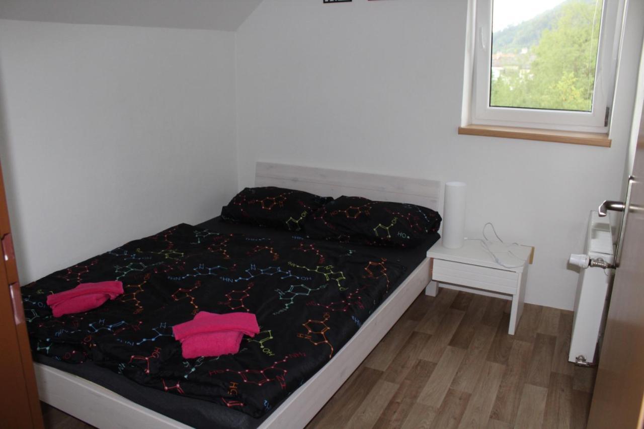 Apartman Rapotin, Jesenicka 296, 3Km Od Termalniho Parku Velke Losiny Exterior foto